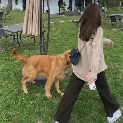 早春